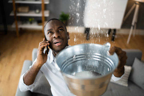 Best Flood damage cleanup  in Gardere, LA