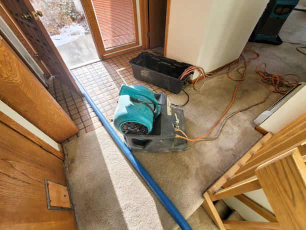 Best Water damage restoration near me  in Gardere, LA