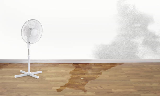 Best Flooded house restoration  in Gardere, LA