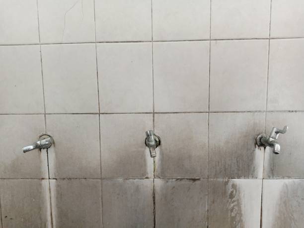 Best Mold removal after water damage  in Gardere, LA