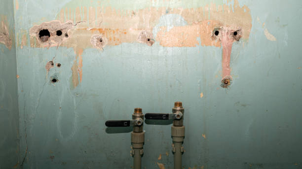 Best Water damage restoration specialists  in Gardere, LA