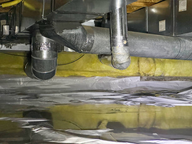 Best Local water damage restoration  in Gardere, LA