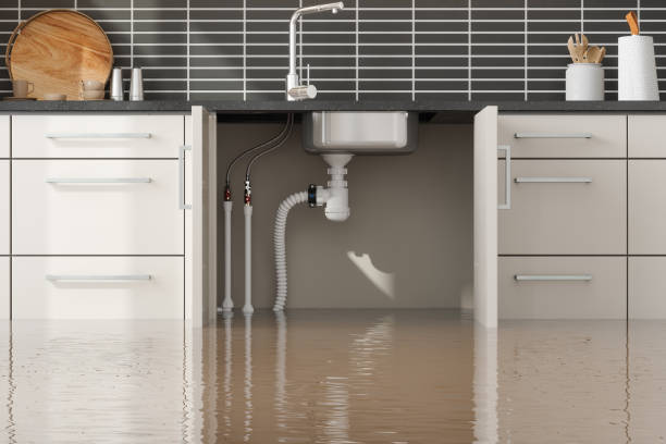 Best Water damage contractors near me  in Gardere, LA