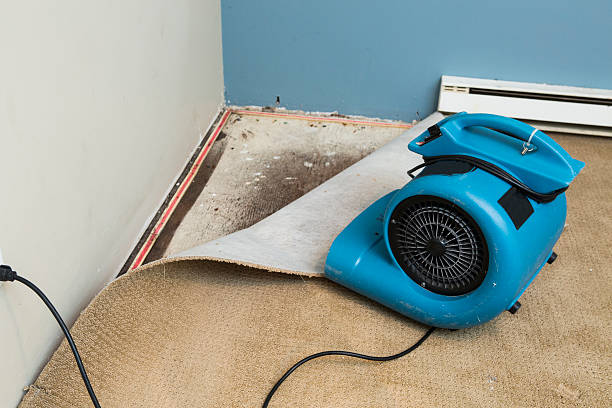 Best Water damage cleanup near me  in Gardere, LA